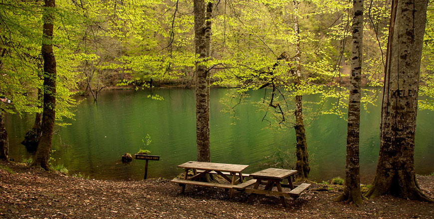 Abant-Bolu-Yedigöller